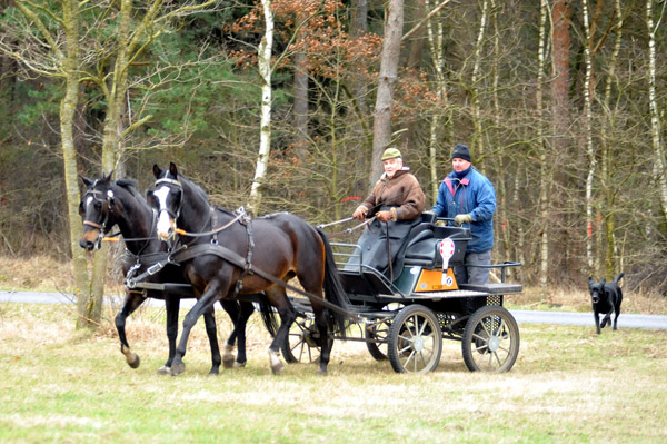 Schwalbenmrchen (5jhrig) und Schwalbenprinz (3jhrig) v. Kostolany u.d. Pr.St. Schwalbenfeder v. Summertime - gefahren von Heinrich Freiherr von Senden - Trakehner Gestt Hmelschenburg