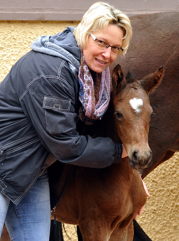Hengstfohlen von High Motion u.d. Schwalbenlicht v. Imperio - Trakehner Gestt Hmelschenburg - Beate Langels