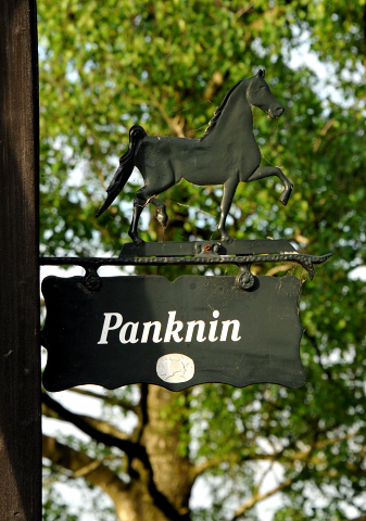 Trakehner Hengstfohlen von Freudenfest u.d. Tulpe v. Scharahnanduc - Knigspark xx, Foto: Beate Langels - 
Trakehner Gestt Hmelschenburg