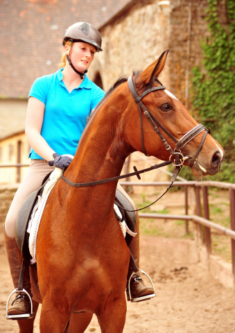 Schwalbenland von Touch my Heart u.d. Schwalbenlicht v. Imperio - Trakehner Gestt Hmelschenburg - Beate Langels