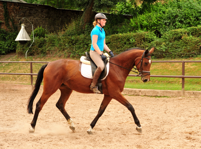 Schwalbenland von Touch my Heart u.d. Schwalbenlicht v. Imperio - Trakehner Gestt Hmelschenburg - Beate Langels