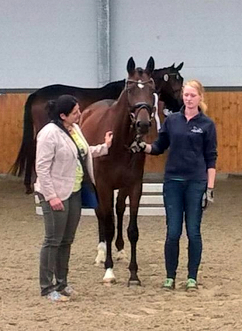TIME FOR TWIST von Oliver Twist u.d. Teatime v. Summertime - copyright Melanie Weseloh, Trakehner Gestt Hmelschenburg