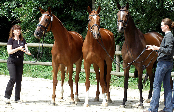 Drei erfolgreiche Freudenfest-Tchter: Kleo, Persiflaya und Perisade