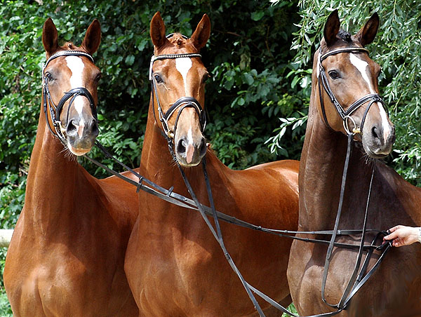 Drei erfolgreiche Freudenfest-Tchter: Kleo, Persiflaya und Perisade