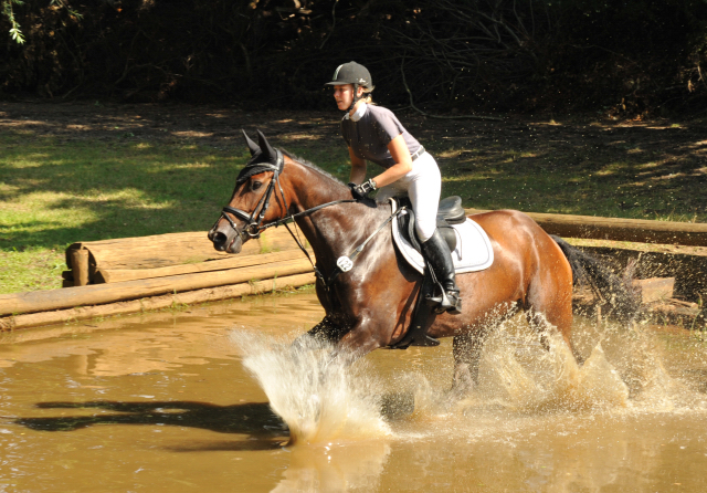 Galila von Exclusiv - Maestro, Prmienanwrterin des Trakehner Verbandes 2012, Foto: Beate Langels