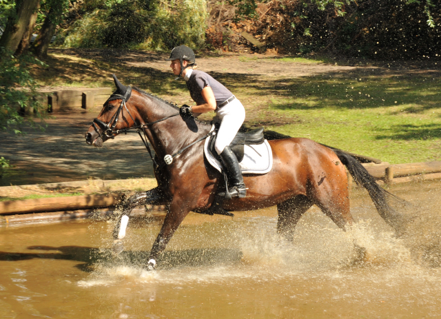 Galila von Exclusiv - Maestro, Prmienanwrterin des Trakehner Verbandes 2012, Foto: Beate Langels