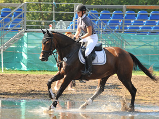 Galila von Exclusiv - Maestro, Prmienanwrterin des Trakehner Verbandes 2012, Foto: Beate Langels