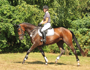 Galila von Exclusiv - Maestro, Prmienanwrterin des Trakehner Verbandes 2012, Foto: Beate Langels