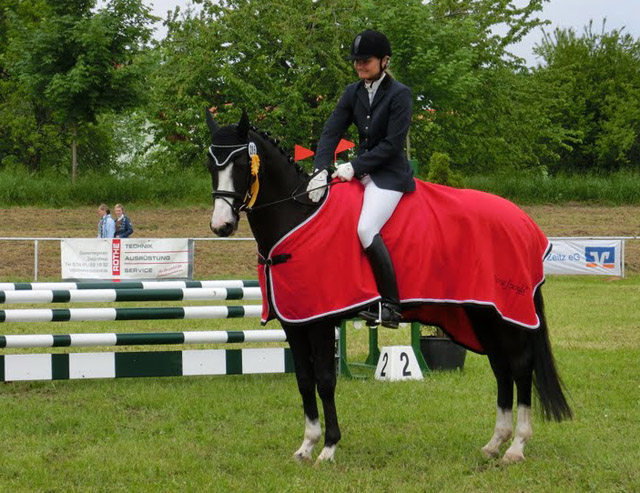 VERMENTINO - 5jhriger Trakehner von Alter Fritz u.d. Prmienstute Vittoria v. Exclusiv, Trakehner Gestt Hmelschenburg - Beate Langels