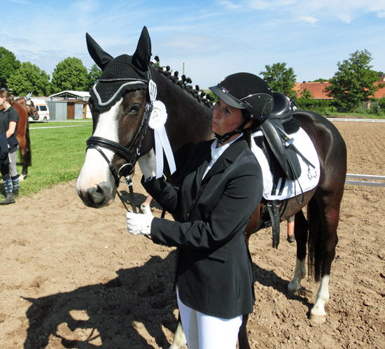 VERMENTINO - 5jhriger Trakehner von Alter Fritz u.d. Prmienstute Vittoria v. Exclusiv, Trakehner Gestt Hmelschenburg - Beate Langels