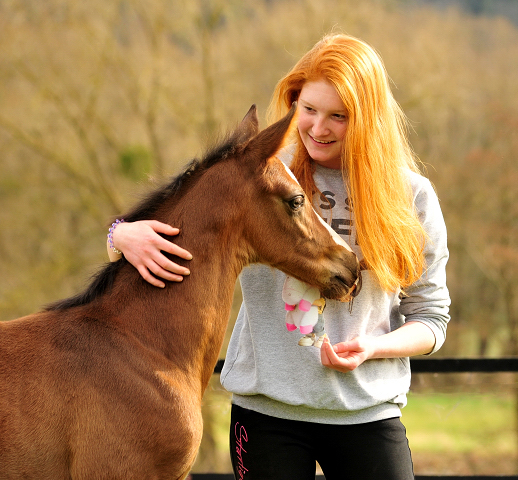 Hengstfohlen von High Motion u.d. Pr.u.StPrSt. vittoria v. Exclusiv - 14. Mrz 2017 - Trakehner Gestt Hmelschenburg - Foto: Beate Langels
