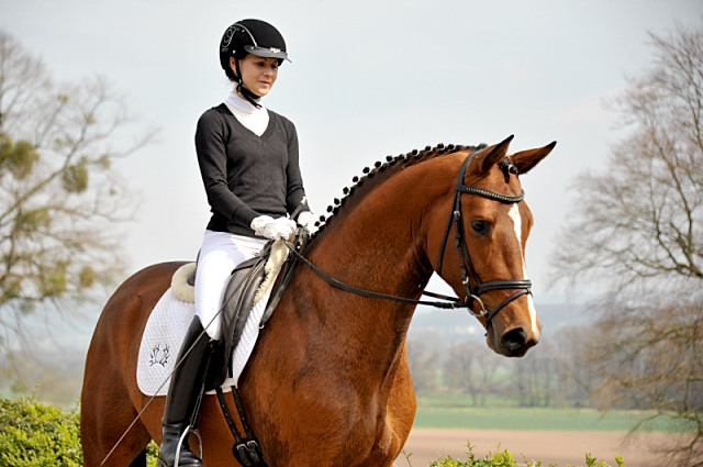 High Motion von Saint Cyr und Stephanie Leuenberger - Foto Beate Langels - Gestt Hmelschenburg