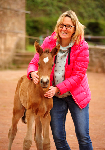 Trakehner Filly by out of Pr.u.StPrSt. Vittoria by Exclusiv- Trakehner Gestt Hmelschenburg - Foto: Beate Langels - 
Trakehner Gestt Hmelschenburg