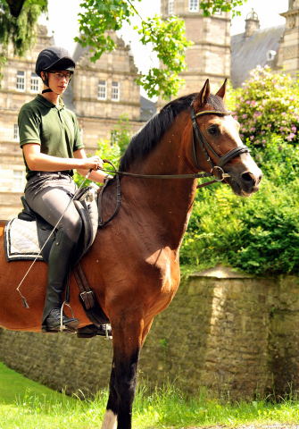 Johann und Freudenfest - Gestt Hmelschenburg - Foto: Beate Langels -  
Trakehner Gestt Hmelschenburg