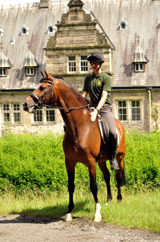 Johann und Freudenfest - Gestt Hmelschenburg - Foto: Beate Langels -  
Trakehner Gestt Hmelschenburg