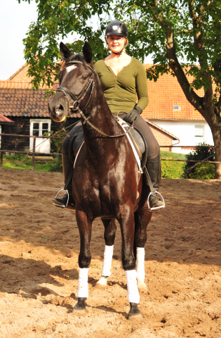 14. Oktober 2016 - Trakehner Gestt  Hmelschenburg - Beate Langels