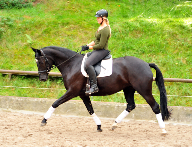 14. Oktober 2016 - Trakehner Gestt  Hmelschenburg - Beate Langels