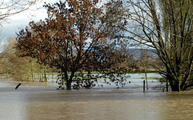 Hochwasser in Hmelschenburg im November 2010, Gestt Hmelschenburg, Foto: Beate Langels