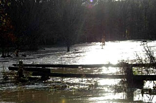 Hochwasser in Hmelschenburg im November 2010, Gestt Hmelschenburg, Foto: Beate Langels