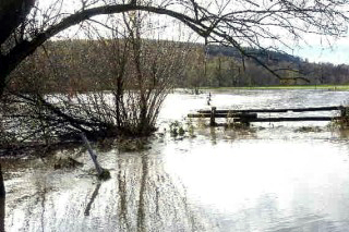 Hochwasser in Hmelschenburg im November 2010, Gestt Hmelschenburg, Foto: Beate Langels