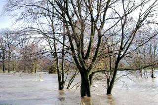 Hochwasser in Hmelschenburg im November 2010, Gestt Hmelschenburg, Foto: Beate Langels