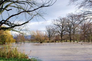 Hochwasser in Hmelschenburg im November 2010, Gestt Hmelschenburg, Foto: Beate Langels