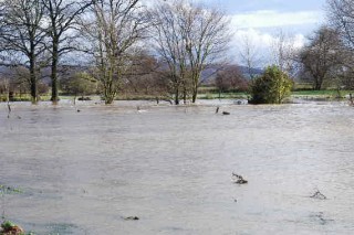 Hochwasser in Hmelschenburg im November 2010, Gestt Hmelschenburg, Foto: Beate Langels