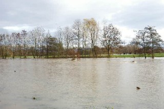 Hochwasser in Hmelschenburg im November 2010, Gestt Hmelschenburg, Foto: Beate Langels