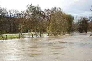 Hochwasser in Hmelschenburg im November 2010, Gestt Hmelschenburg, Foto: Beate Langels