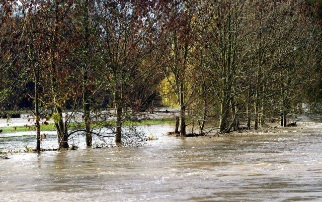 Hochwasser in Hmelschenburg im November 2010, Gestt Hmelschenburg, Foto: Beate Langels