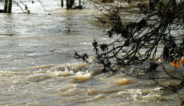 Hochwasser in Hmelschenburg im November 2010, Gestt Hmelschenburg, Foto: Beate Langels