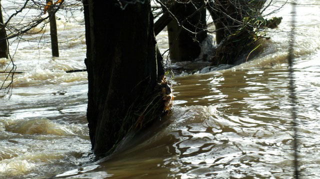 Hochwasser in Hmelschenburg im November 2010, Gestt Hmelschenburg, Foto: Beate Langels