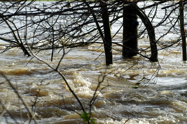 Hochwasser in Hmelschenburg im November 2010, Gestt Hmelschenburg, Foto: Beate Langels