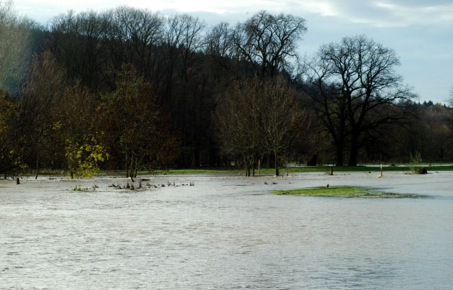 Hochwasser in Hmelschenburg im November 2010, Gestt Hmelschenburg, Foto: Beate Langels