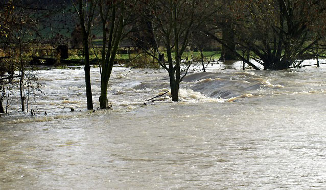 Hochwasser in Hmelschenburg im November 2010, Gestt Hmelschenburg, Foto: Beate Langels