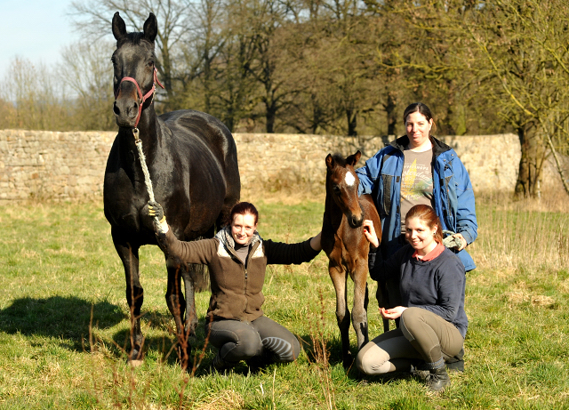 Stutfohlen von High Motion u.d. Elitestute Vicenza v. Showmaster - Foto Beate Langels - Gestt Schplitz