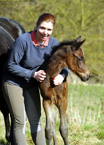 Stutfohlen von High Motion u.d. Elitestute Vicenza v. Showmaster - Foto Beate Langels - Gestt Schplitz
