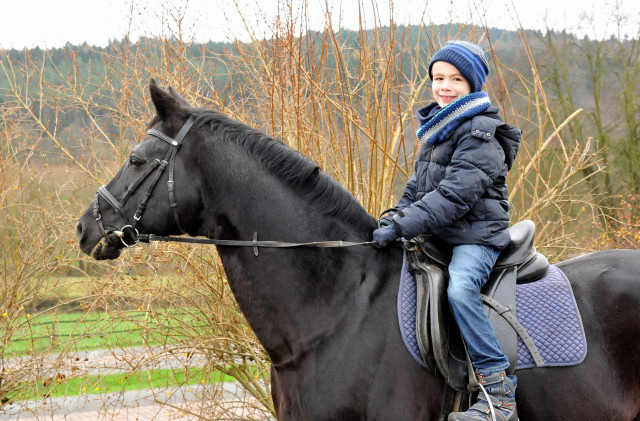 Jasper (7) und der Hmelschenburger Vererber Alter Fritz - Gestt Hmelschenburg im Dezember 2014, Foto: Beate Langels, 
Trakehner Gestt Hmelschenburg - Beate Langels