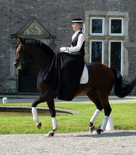 Freudenfest von Tolstoi -x Amadeus - geritten von unserer Christina - Trakehner Gestt Hmelschenburg