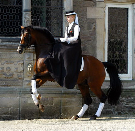 Freudenfest von Tolstoi -x Amadeus - geritten von unserer Christina - Trakehner Gestt Hmelschenburg