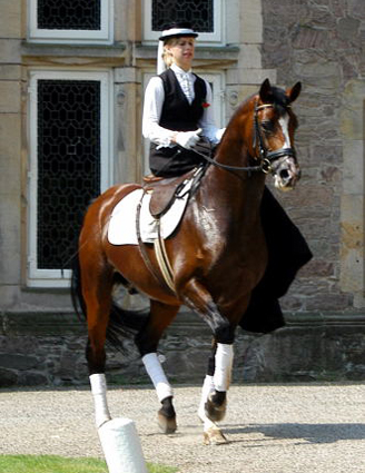 Freudenfest von Tolstoi -x Amadeus - geritten von unserer Christina - Trakehner Gestt Hmelschenburg