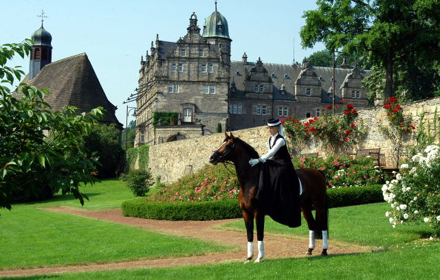 Freudenfest von Tolstoi -x Amadeus - geritten von unserer Christina - Trakehner Gestt Hmelschenburg