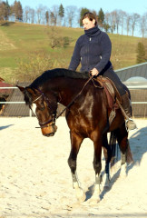 Trakehner Stute Gloria Gaynor von Saint Cyr u.d. Greta Garbo v. Alter Fritz und Pamela Sonnleitner, Gestt Hmelschenburg - Beate Langels