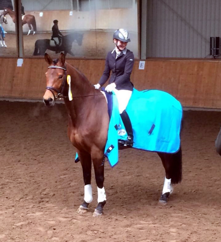 Savinio von Exclusiv u.d. Schwalbenfee v. Freudenfest - Foto: Beate Langels - Trakehner Gestt Hmelschenburg