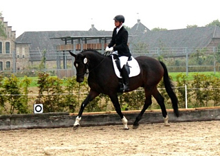 Valpiano 2014 - Foto: Rutsch, Trakehner Gestt Hmelschenburg
