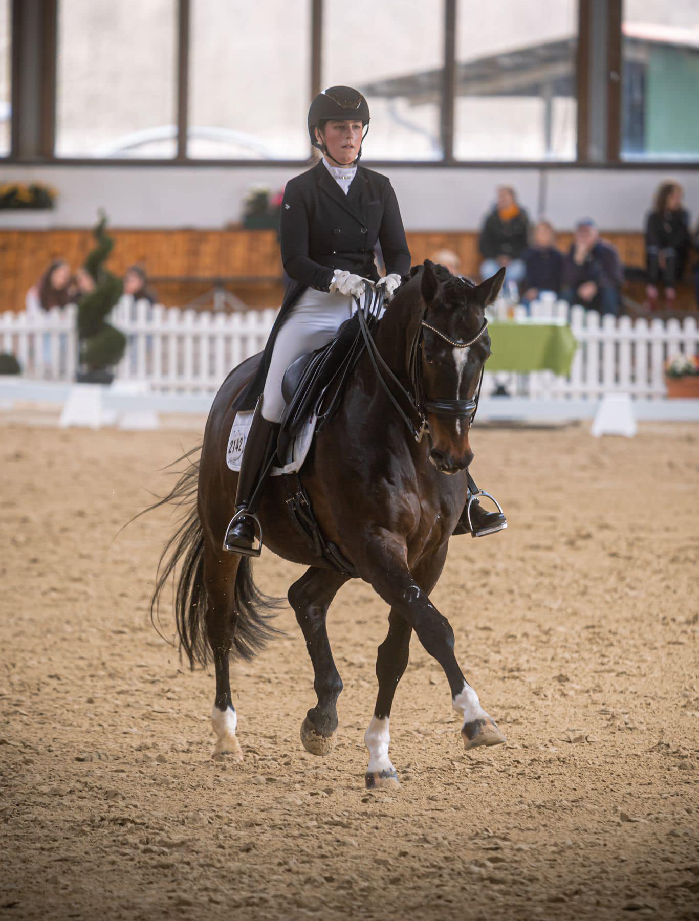 Valpiano und Anastasia Rutsch 2023 - Foto: Rutsch, Trakehner Gestt Hmelschenburg
