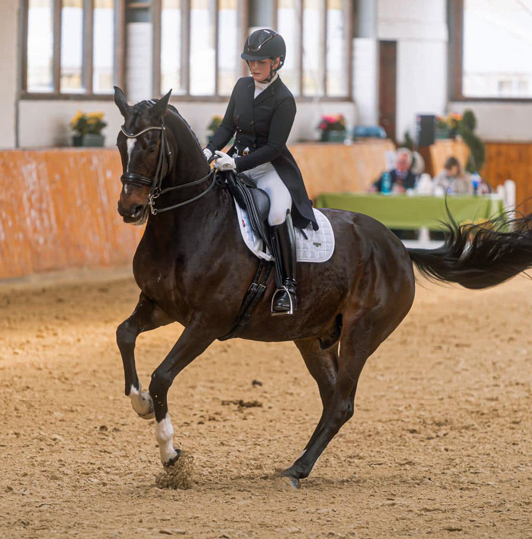 Valpiano und Anastasia Rutsch 2023 - Foto: Rutsch, Trakehner Gestt Hmelschenburg
