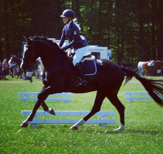 Greenwich Park - Hengst von Saint Cyr x Alter Fritz x Kostolany - Foto: von Rnne - Trakehner Gestt Hmelschenburg