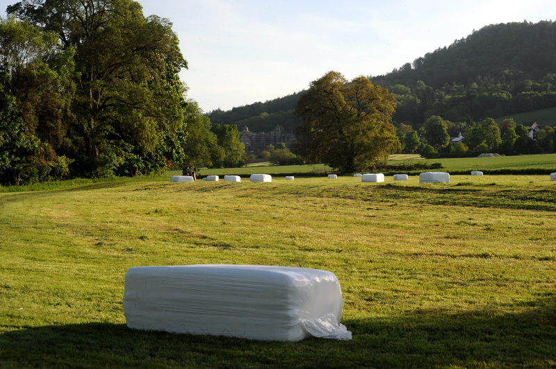 Silageernte in Hämelschenburg - Foto Beate Langels - Gestüt Hämelschenburg