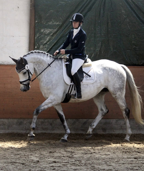 Teacup v. Exclusiv  - Foto: Pauline Rohlfing